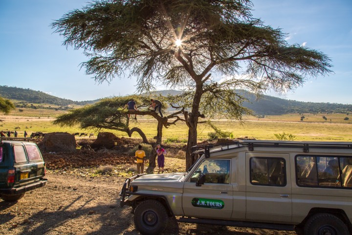Booking a Safari Holiday