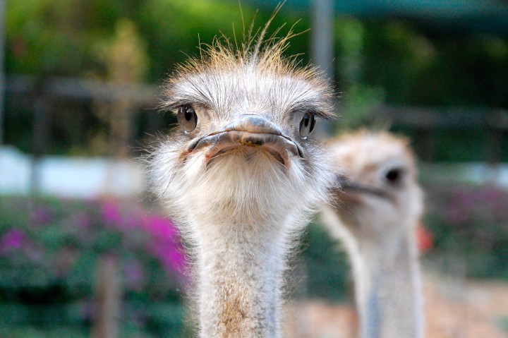 be inquisitive