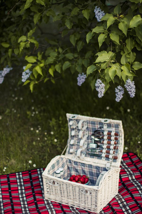 present the perfect picnic