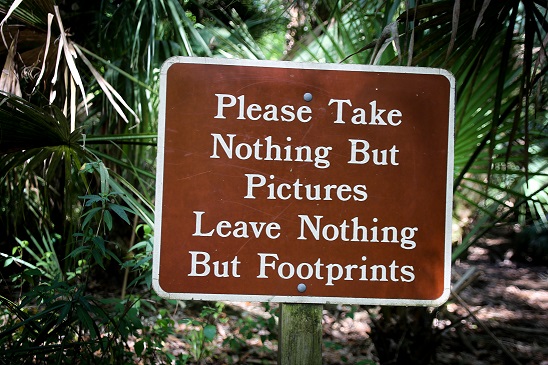 Tips for Teaching Your Child to Be More Environmentally Conscious