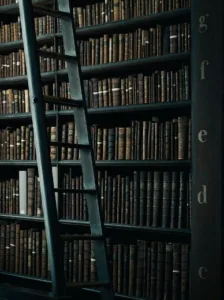 Find books at your local bookshop