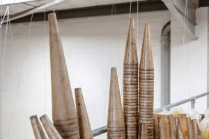 Waxed cones
