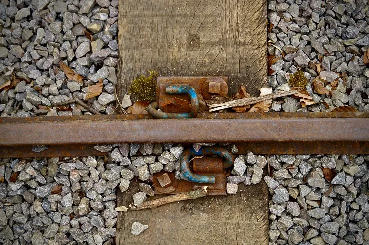 Slate Chipping Maintenance Tips: How to Care for Your Slate Garden